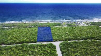 Cayman Brac Bluff Edge Two