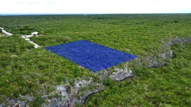 Cayman Brac Bluff Edge Two