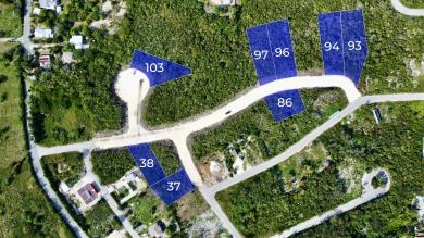 Imperial Estates - Duplex Lot 97