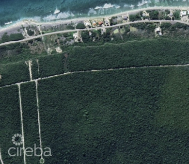 PREMIUM ELEVATED LOT IN THE HEART OF CAYMAN BRAC