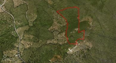 EAST INTERIOR LAND