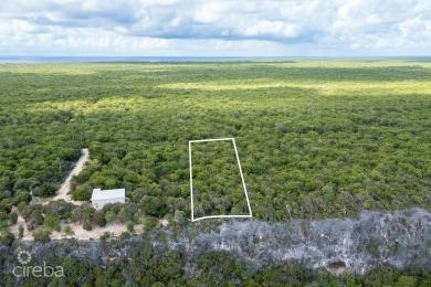 CAYMAN BRAC 1.05 ACRE PARCEL SOUTH SIDE EAST WITH OCEAN VIEW
