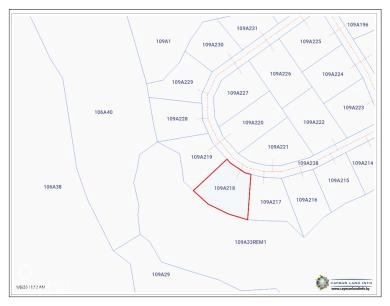 CAYMAN BRAC BLUFF LOT  (.2901 ACRE)