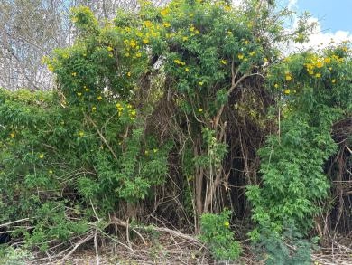 NATURE'S CIRCLE PARCEL