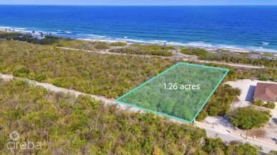 CAYMAN BRAC BLUFF 1.26 ACRES,  50-FT ELEVATION