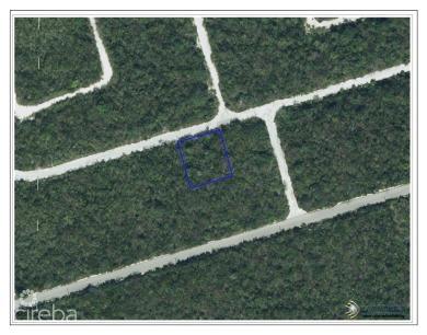 CAYMAN BRAC LOT ON BLUFF AT SELWORTHY GROVES