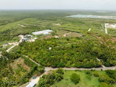 EAST END GARDENS & GIFTS FARM LAND