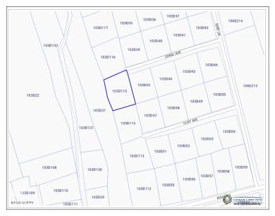 CAYMAN BRAC  TWO ADJACENT LOTS
