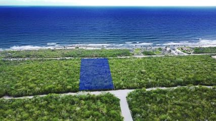 Cayman Brac Bluff Edge Two