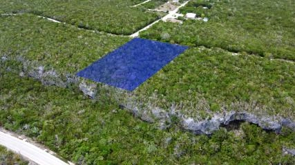 Cayman Brac Bluff Edge Two
