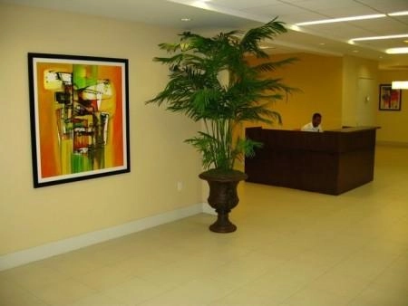 Smith Road Medical Centre - Cayman Property Development