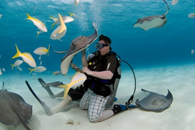 Stingray City in the Cayman Islands