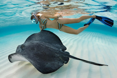 Sandbar in the Cayman Islands