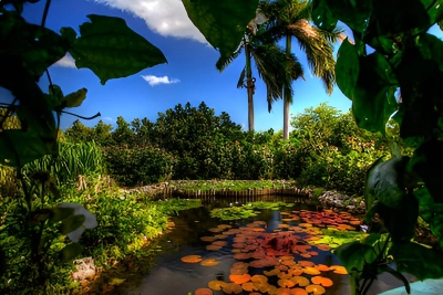 Queen Elizabeth II Botanic Park in the Cayman Islands