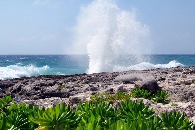 Blow Holes in the Cayman Islands