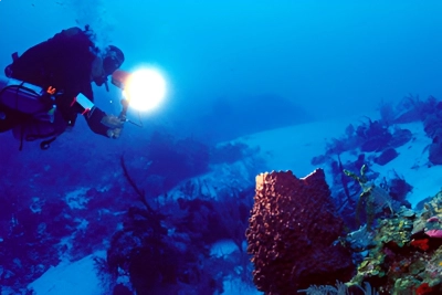 Scuba Diving in Cayman Brac
